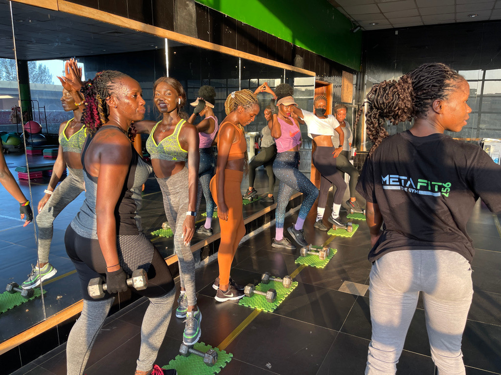 A MetaFit256 member between training sets